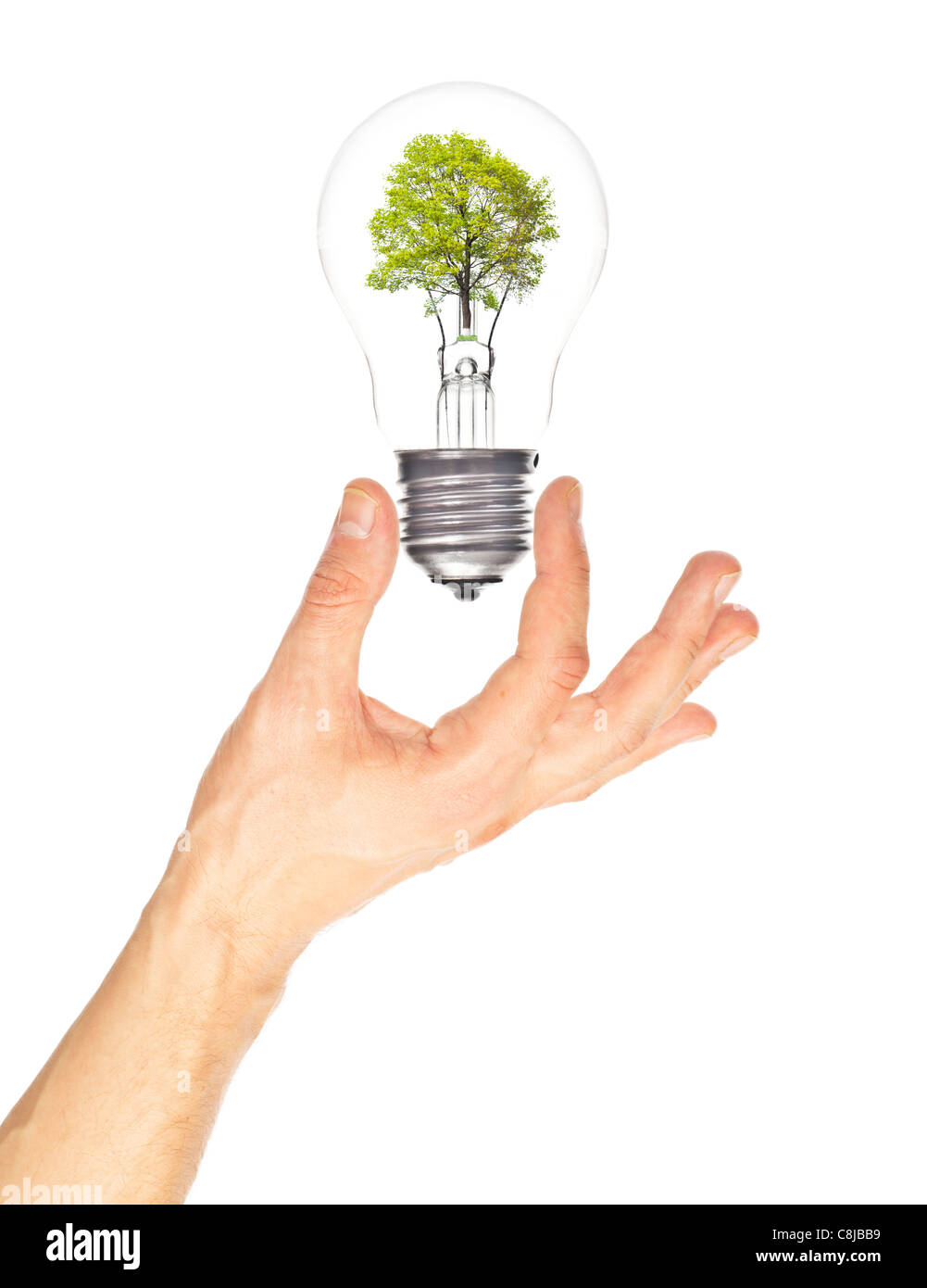 Baum in Lampe auf Seite. Eco-Konzept. Stockfoto