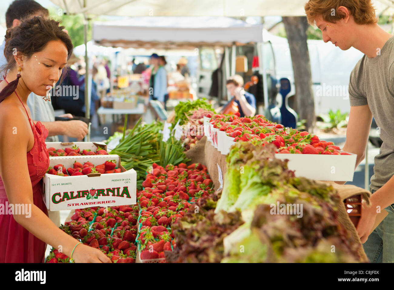 Anbieter verkaufen Erdbeeren und Salat, Bauernmarkt, Santa Barbara, California, Vereinigte Staaten von Amerika Stockfoto