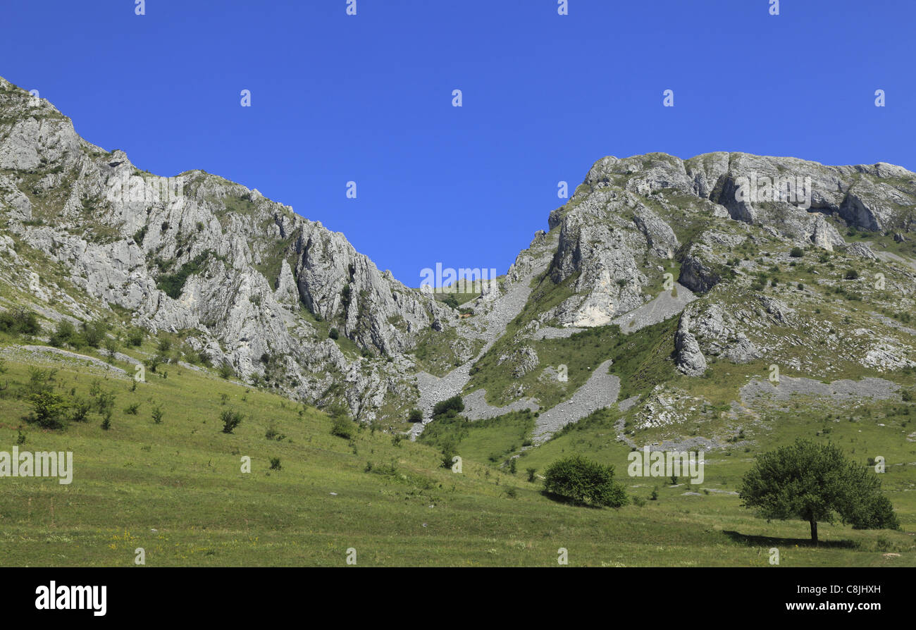 Sommer-Bild mit Felsen, Rasen und blauer Himmel Stockfoto