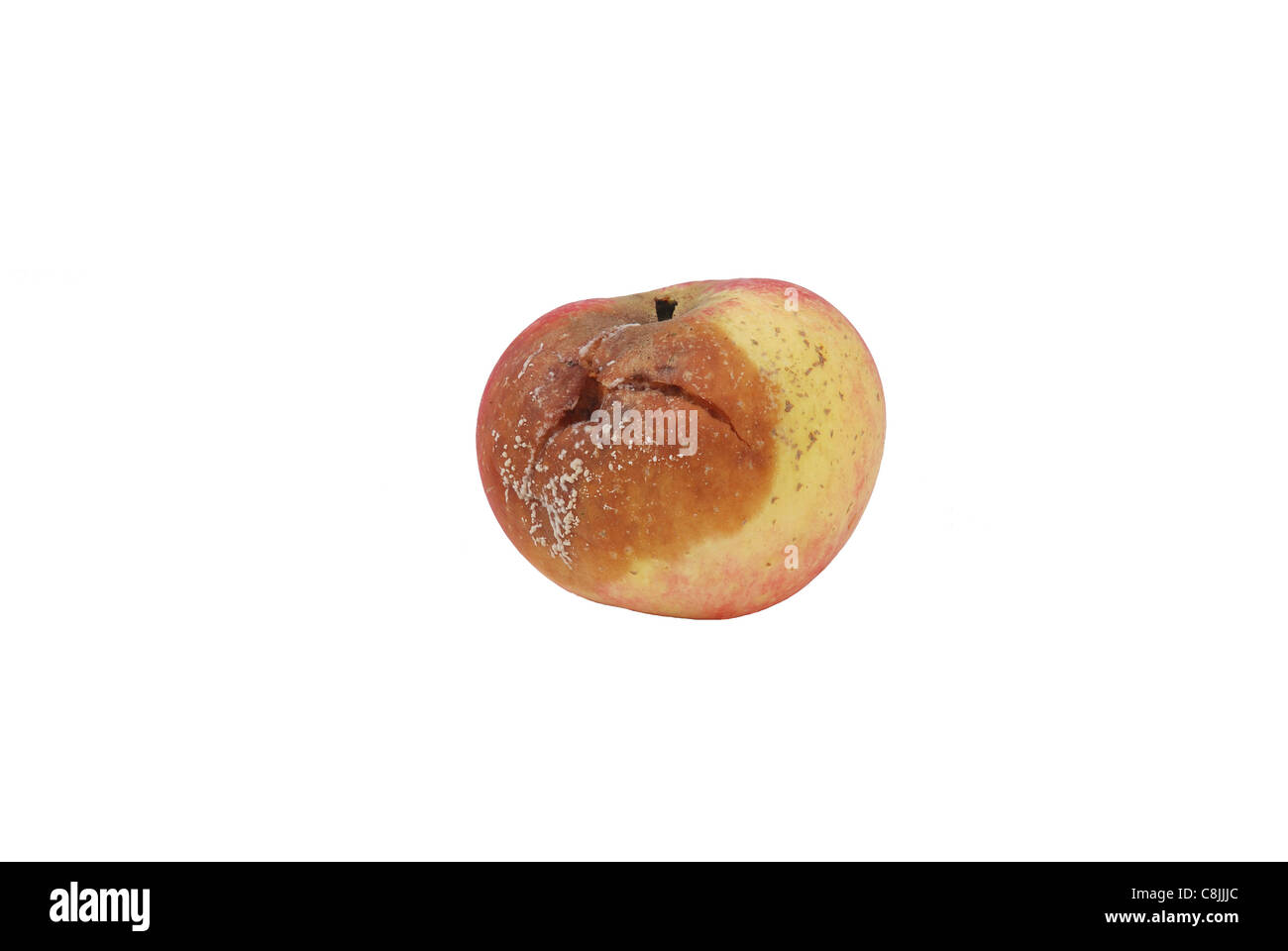 decaying fruit ausgeschnittene stockfotos und -bilder - alamy