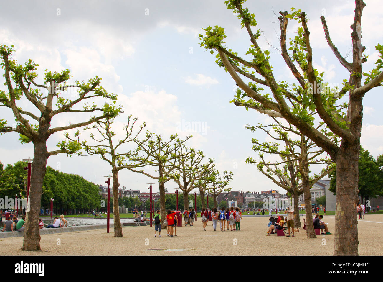 In der Nähe Rijksmuseum Stockfoto