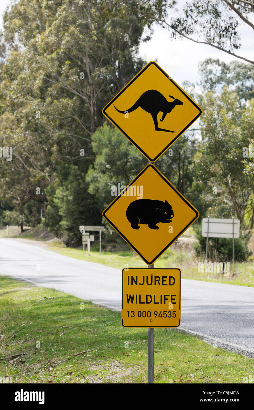 Känguru und Wombat Straßenschild fotografiert in Victoria, Australien Stockfoto