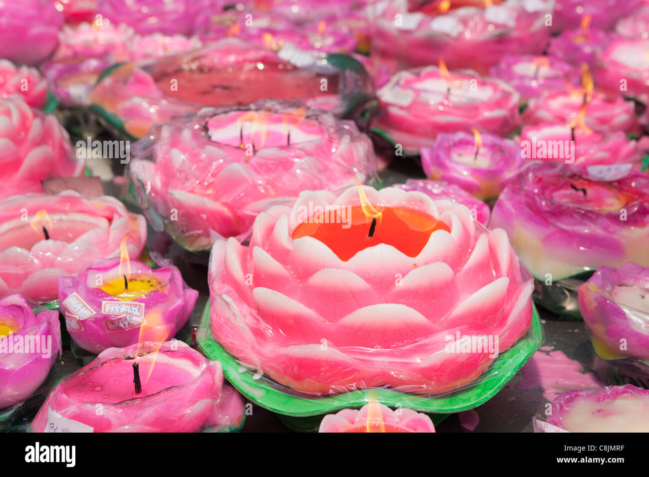 Pink Lotus Kerzen; Jade-Buddha-Tempel; Shanghai; China Stockfoto