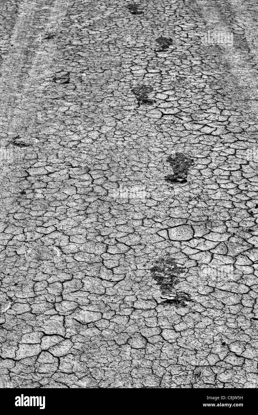 Spuren von Schuhen, ein Pferd und einen Mietwagen in den trockenen Boden der Toskana Stockfoto