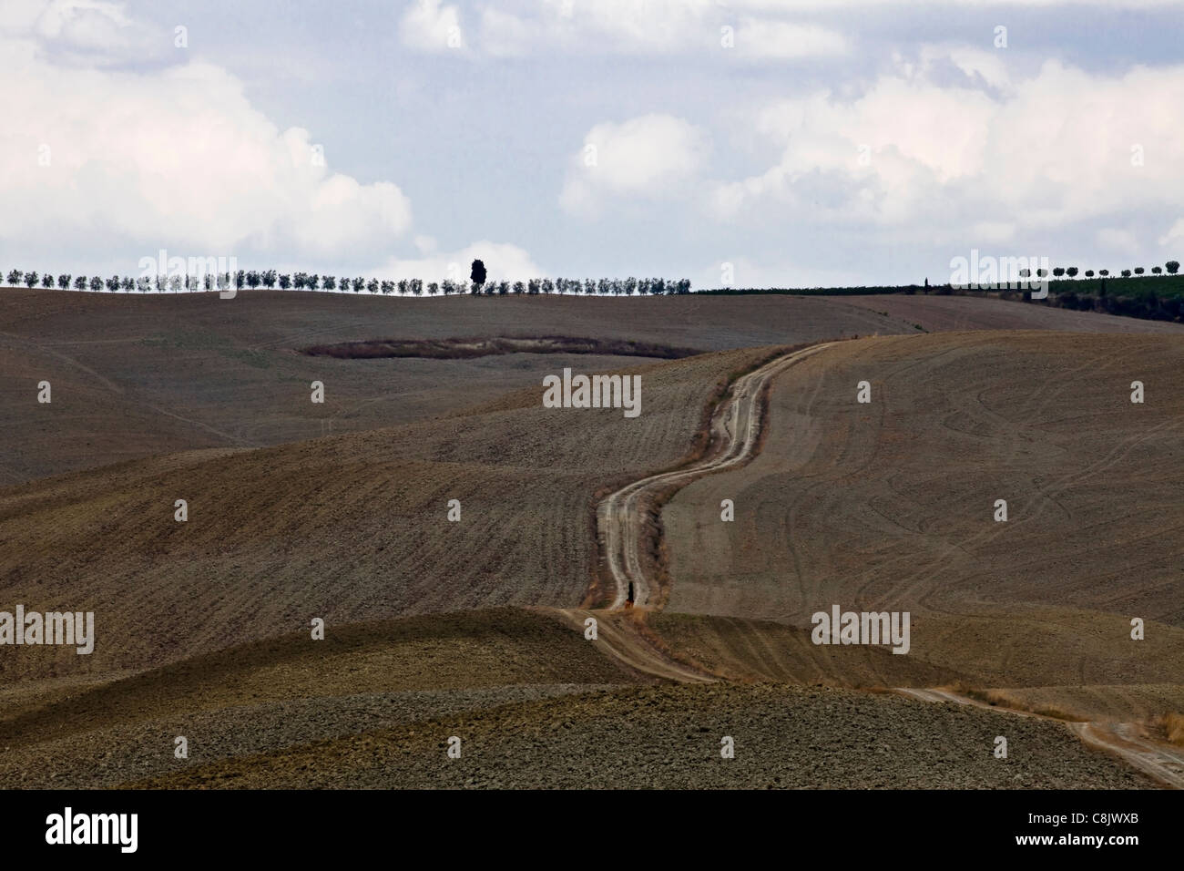 die typische Landschaft der Toskana in Val d ' Orcia Stockfoto