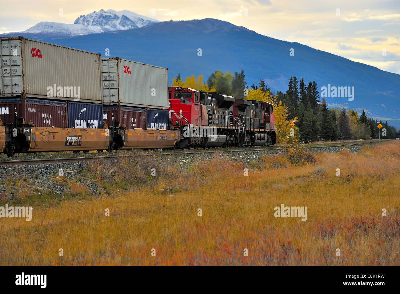 Heckansicht des Canadian National Güterzug Stockfoto