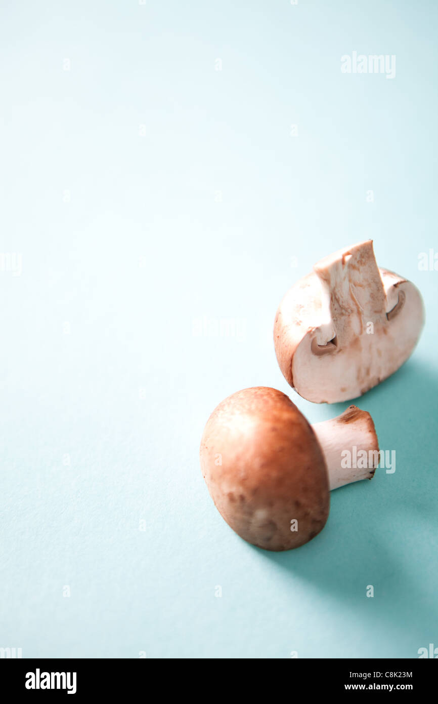 Single-Pilz, halbieren auf blassen blauen Hintergrund Stockfoto