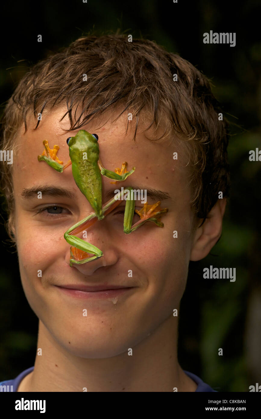 Junge mit gleiten Blatt Frosch-Agalychnis Spurrelli - Costa Rica - tropischer Regenwald - Modell veröffentlicht Stockfoto