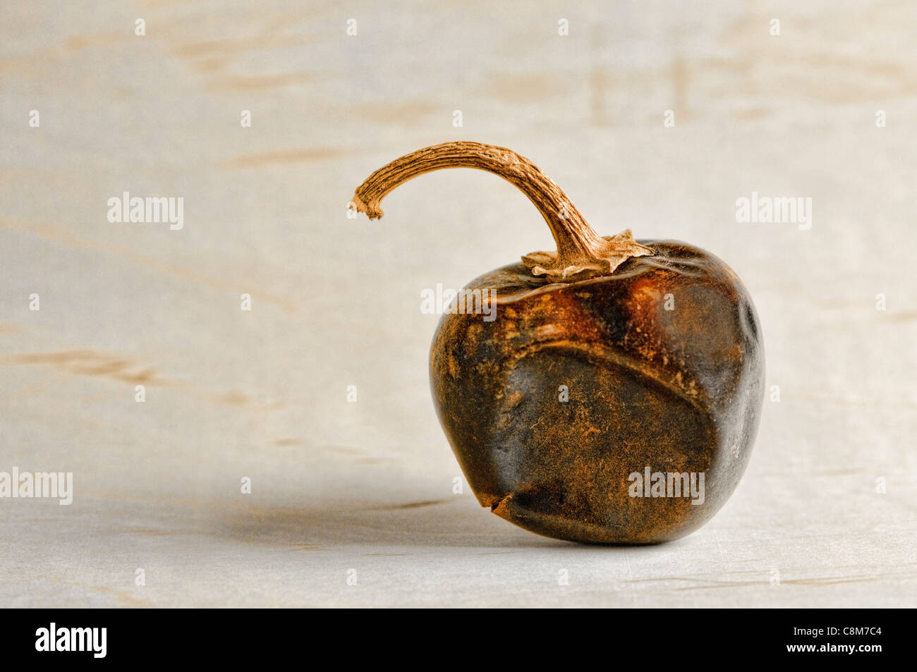 Ganzes getrocknet Cascabel Chili (Capsicum Annuum), manchmal auch genannt eine "kleine Glocke" oder "Klappern Chili". Stockfoto