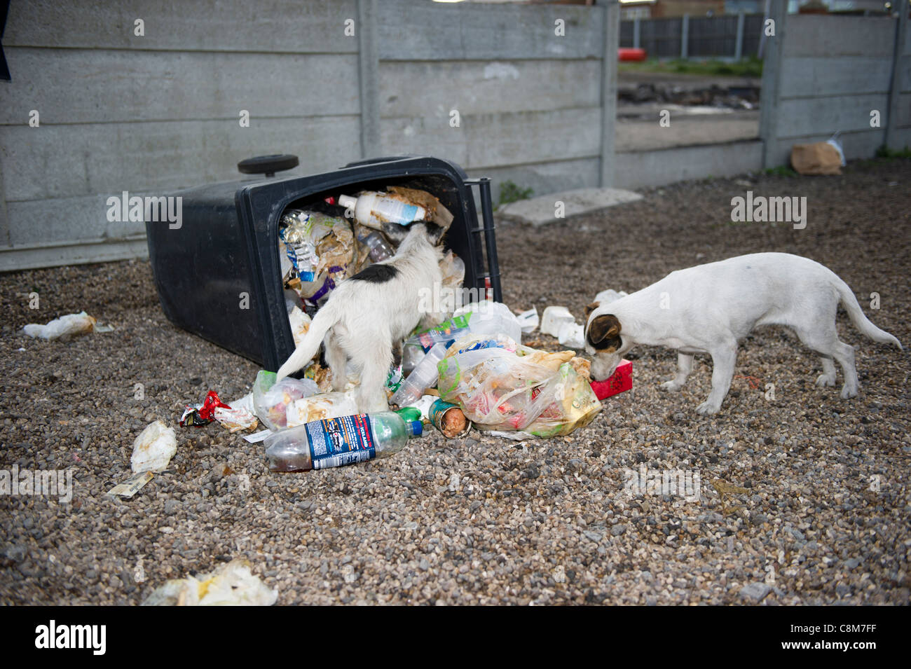 Food waste bin Stockfotos und bilder Kaufen Alamy