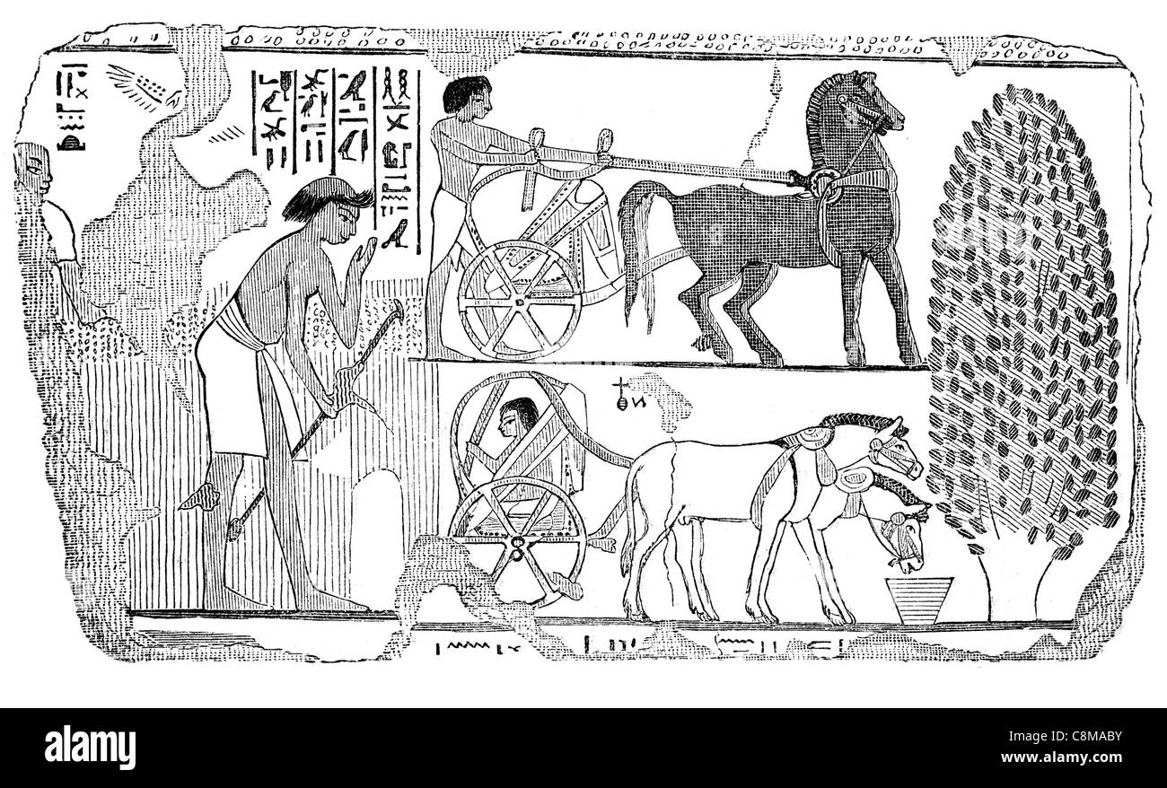 Schnitter-Mäher Autos ägyptisch Ägypten British Museum Sammlung Sir Hans Sloane Archäologie Archäologin alte Kutsche Wagen Auto Stockfoto