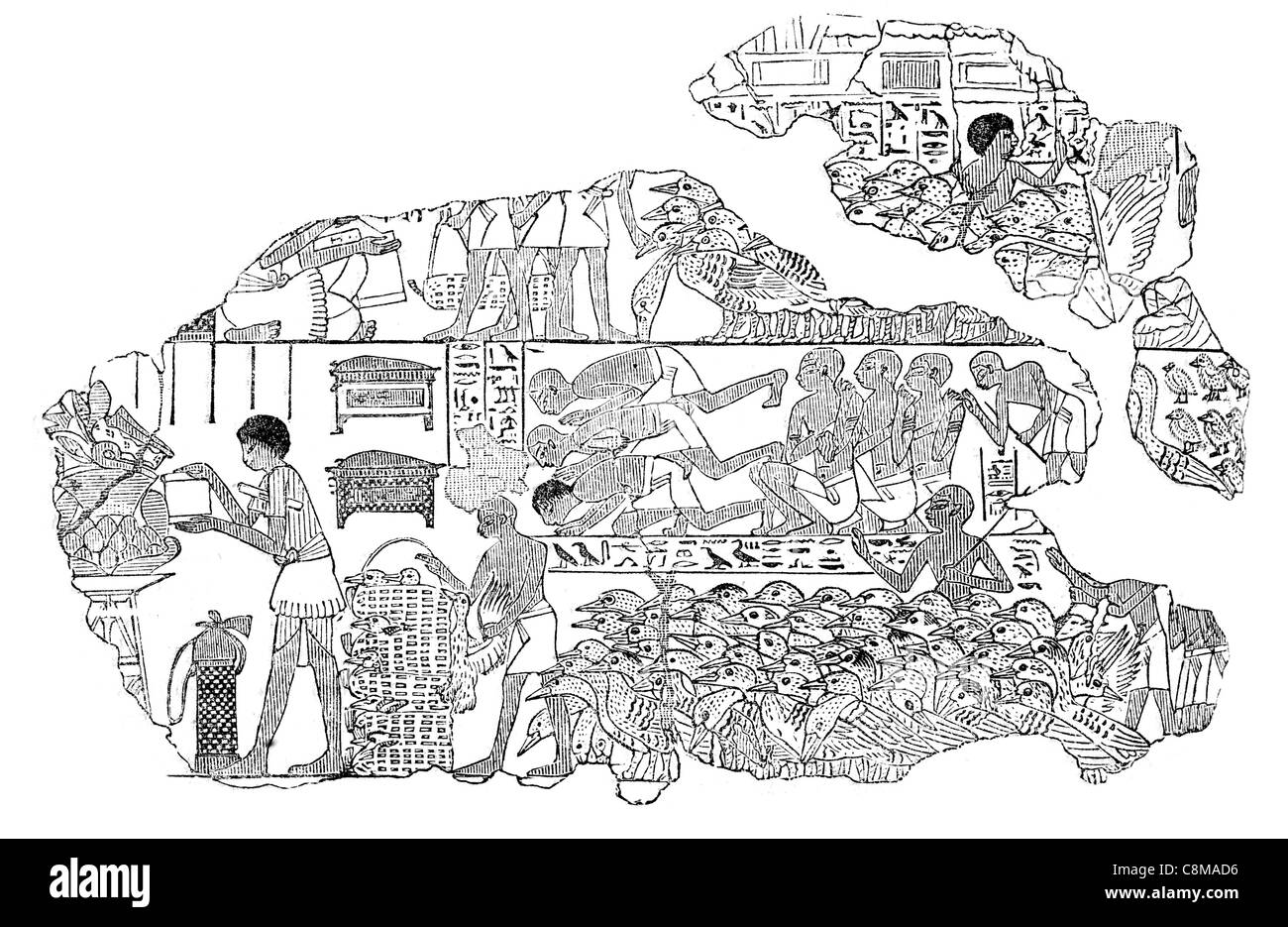 Herde Gänse ägyptischen Ägypten antike Sammlung Sir Hans Sloane Archäologie Archäologin alte British Museum Stockfoto