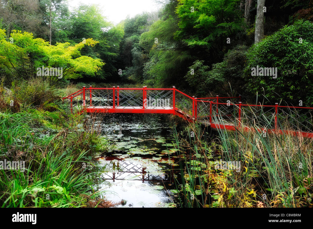 CHINESISCH-WASSER-GARTEN-BRÜCKE PORTMEIRION GWYNEDD NORDWALES UK Stockfoto