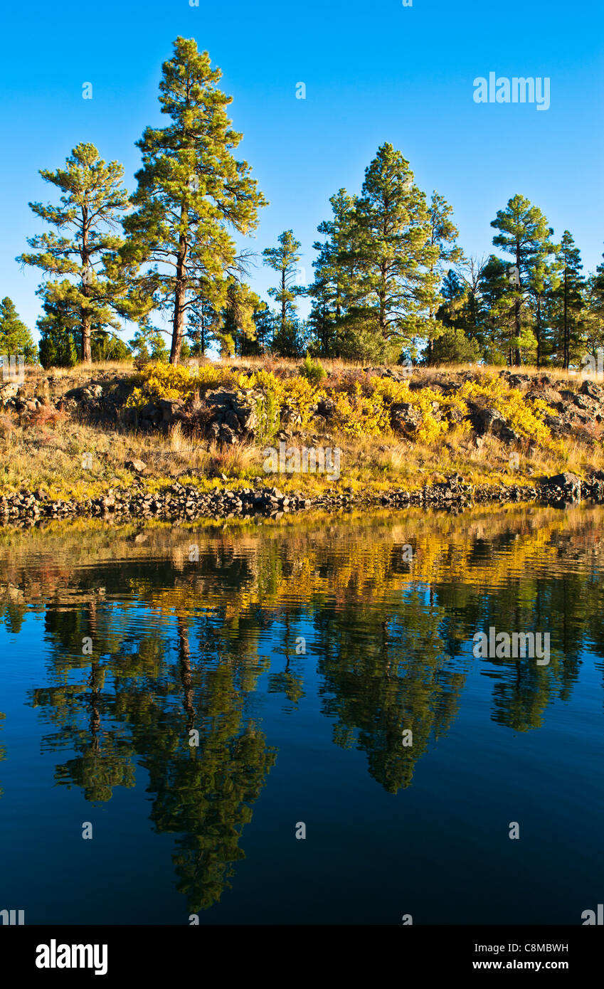 Einen wunderschönen Sonnenaufgang auf Narr Hollow Lake State Park, Arizona. Stockfoto