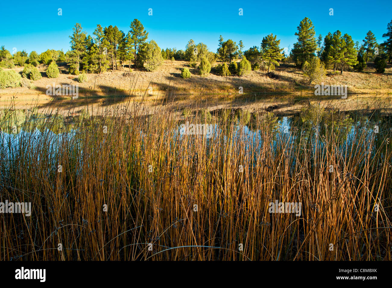 Einen wunderschönen Sonnenaufgang auf Narr Hollow Lake State Park, Arizona. Stockfoto