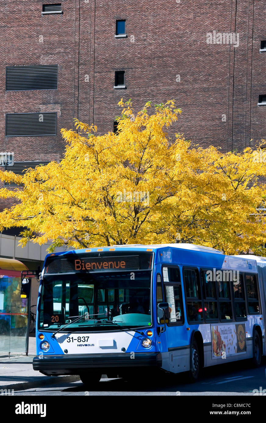 Bushaltestelle auf der Bleury Straße Innenstadt von Montreal Stockfoto