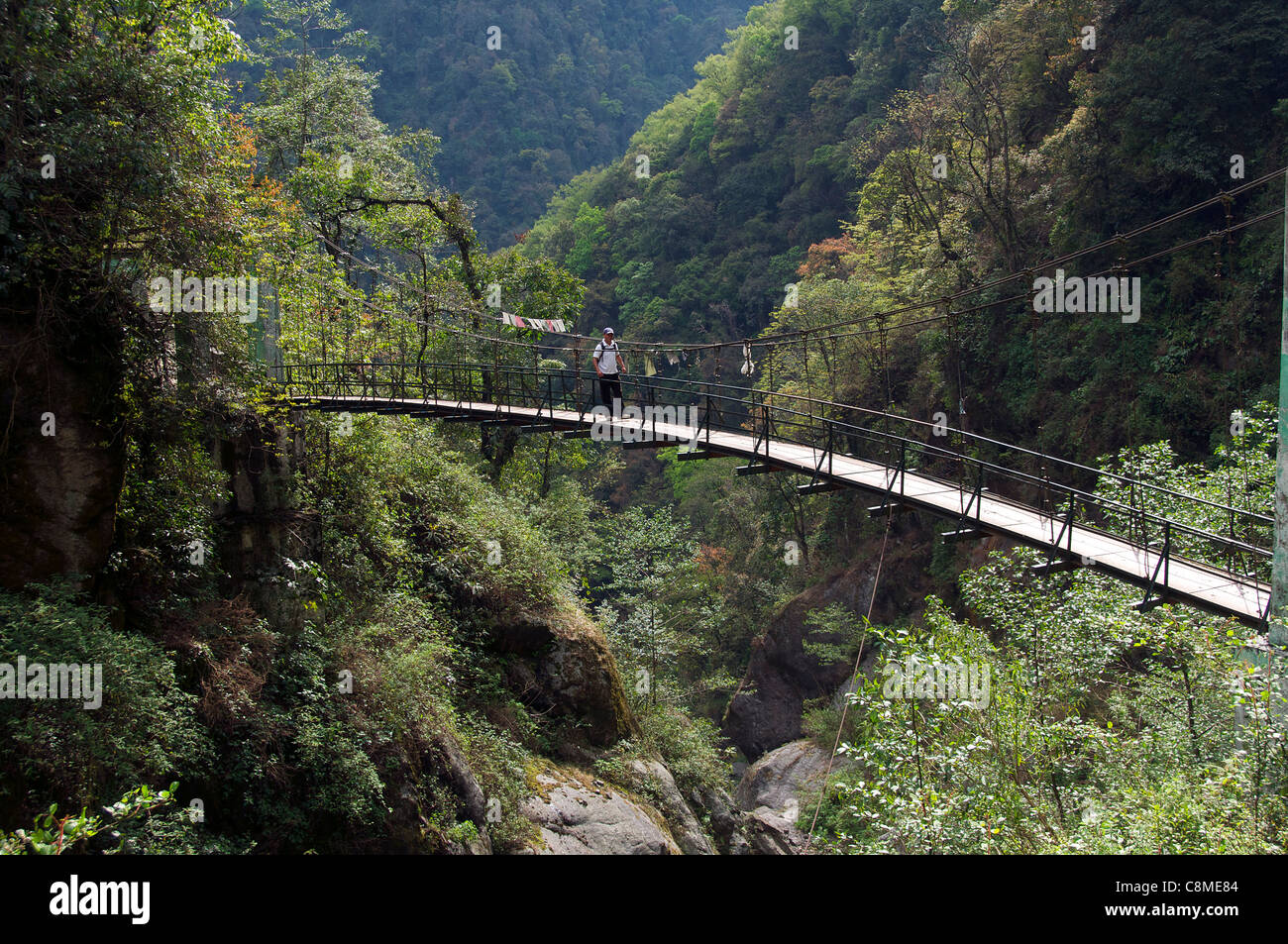 Schmaler Fußgängerbrücke über die Schlucht in der Nähe von Yuksom Sikkim Indien Stockfoto