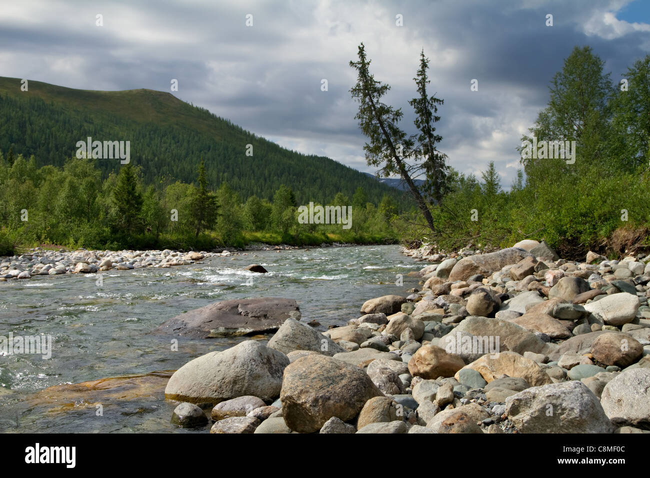 Der Fluss Manaraga. Nationalpark 'Yugyd va'. Taiga-Wald. Polaren Ural. Die Republik Komi. Russland. Stockfoto