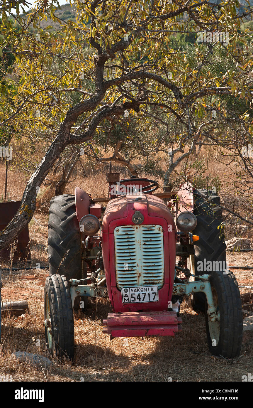 Oldtimer IMT-Traktor mit Lakonia Nummernschild auf der Insel Elafonisos,  Lakonia, Peloponnes, Griechenland Stockfotografie - Alamy