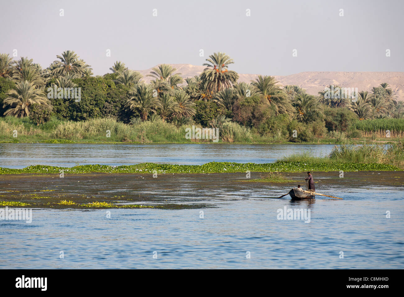 Zwei Männer net-Angeln im kleinen Boot auf die Untiefen auf dem Fluss Nil Ägypten mit Palmen im Hintergrund Stockfoto