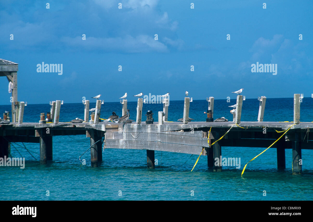 Nevis St. Kitts Pinney Strand Hurrikanschäden Stockfoto
