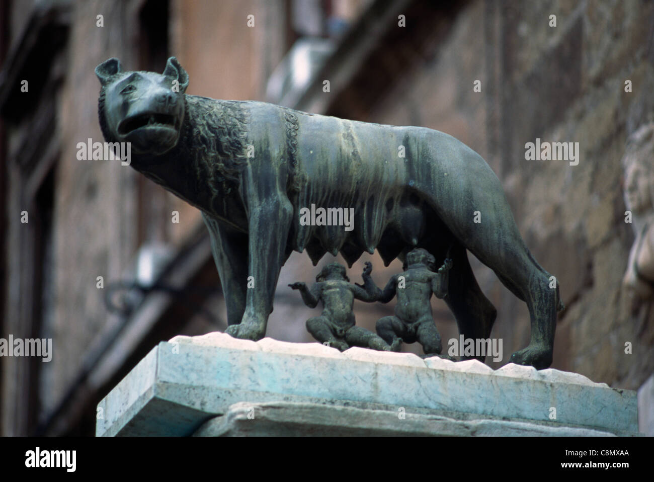 Rom Italien kapitolinischen Wölfin etruskische Bronze 5. Jahrhundert v. Chr. Museumsfiguren von Romulus & Remus gesäugt, von Wolf Stockfoto