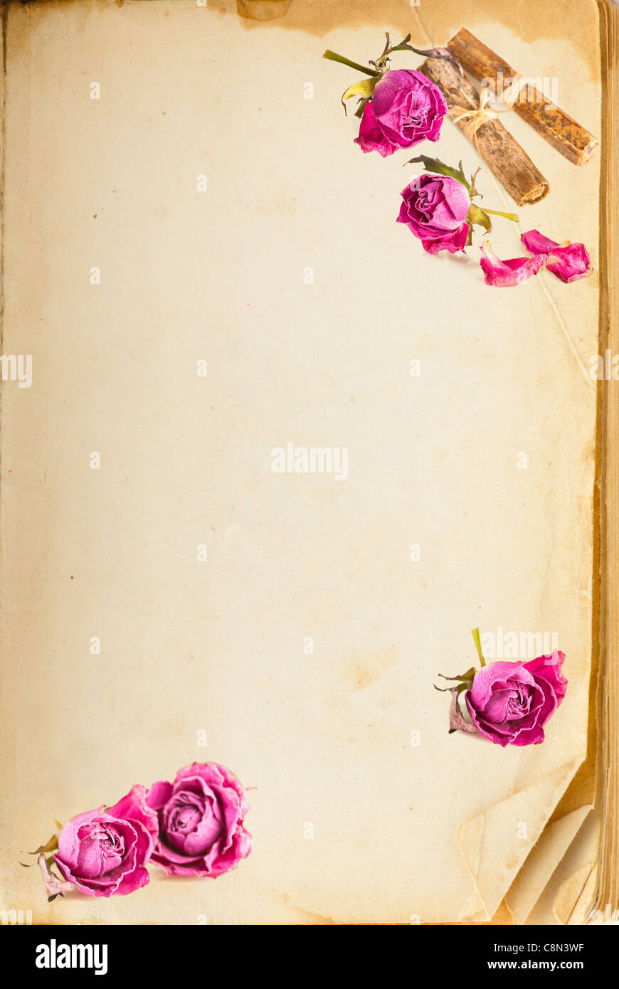 Alten Buchseite und und Vintage rosa Rosen mit Platz für Ihren Text Stockfoto