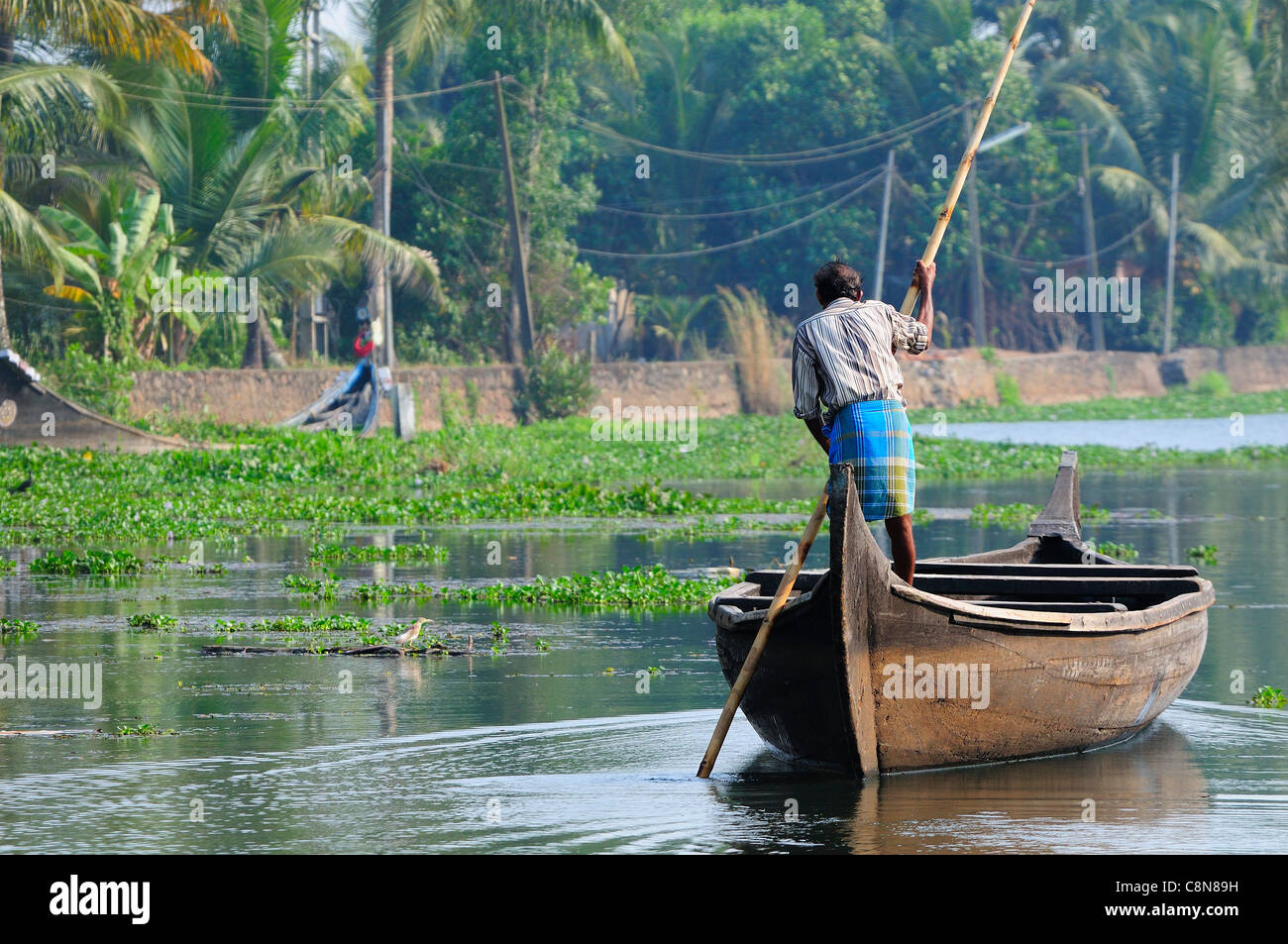 Indischer Mann polling hölzernen Vallam (ein traditionelles Land Boot) entlang der Backwaters, Kerala, Indien Stockfoto