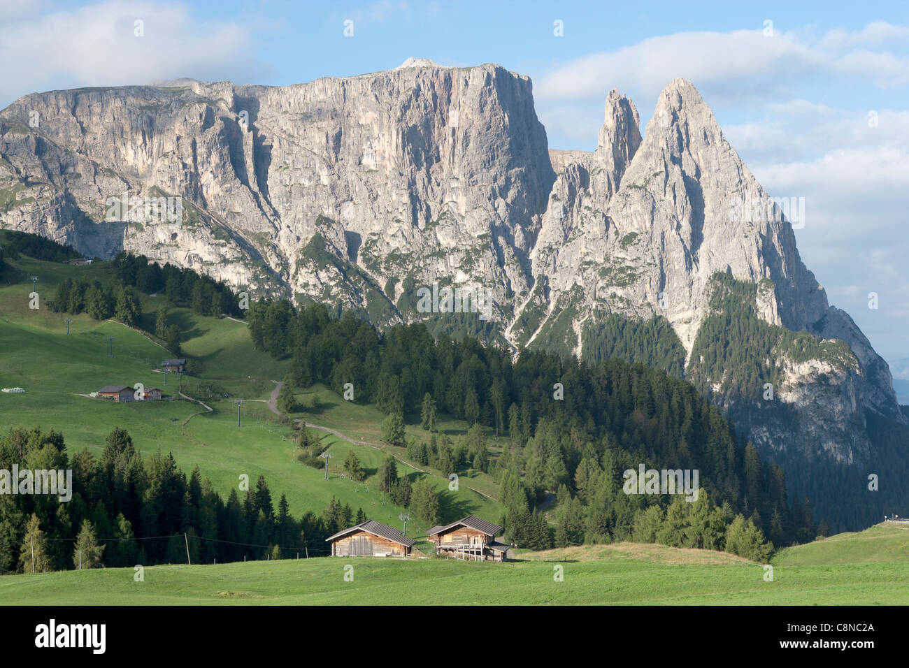 Compatsch Alpe di siusi -Fotos und -Bildmaterial in hoher Auflösung – Alamy