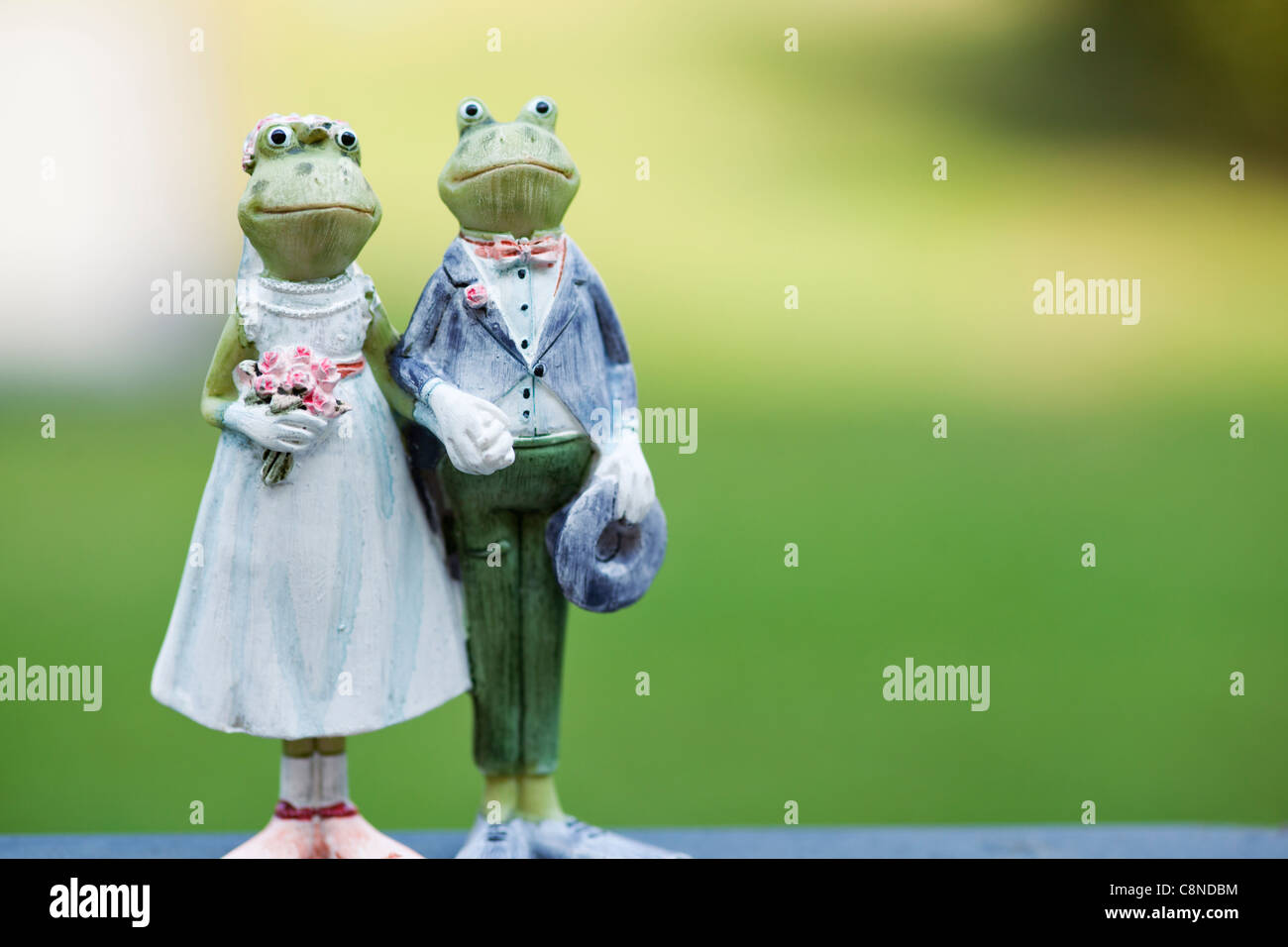 Braut und Bräutigam paar Frösche im grünen Stockfoto