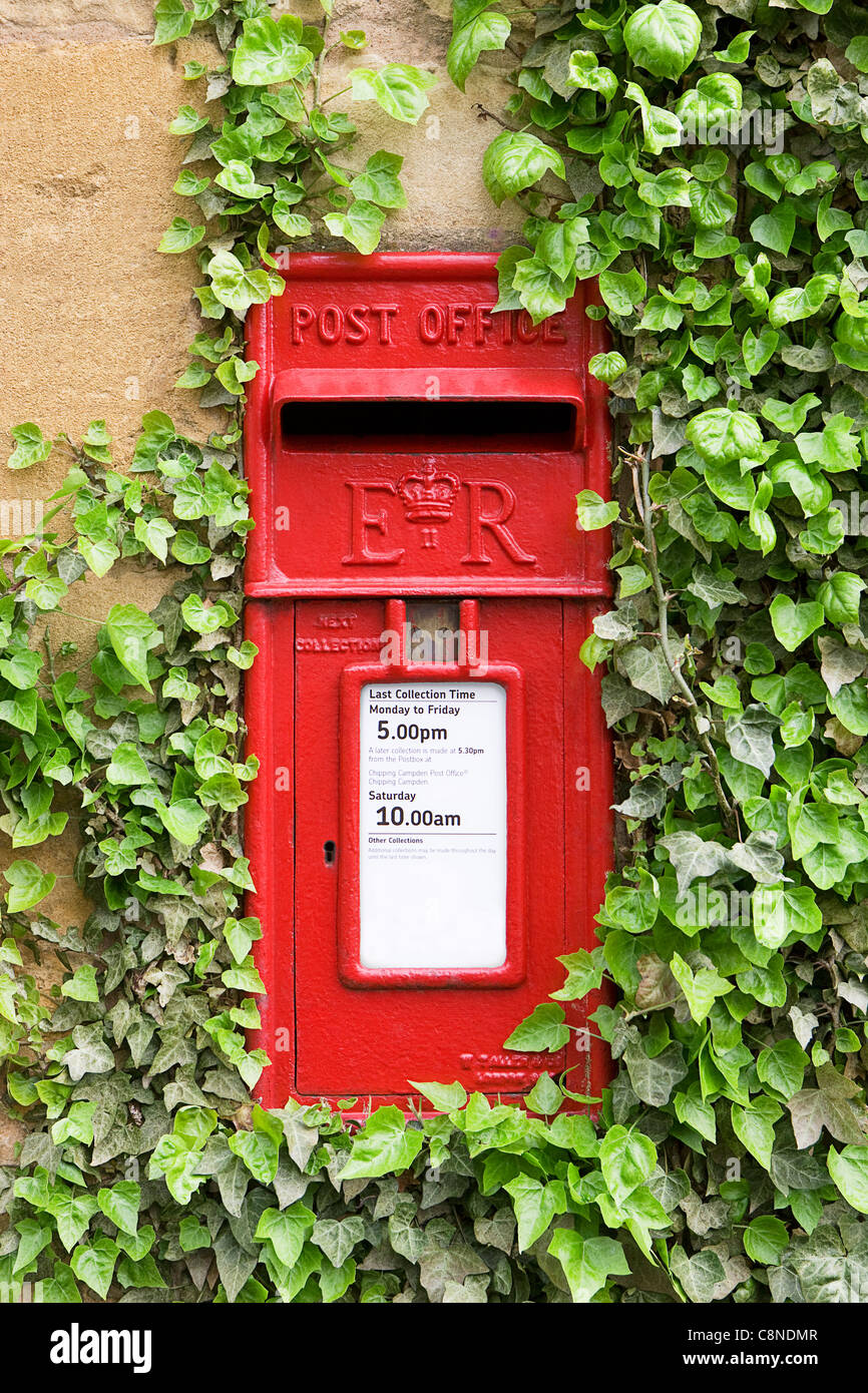 England, englischer Briefkasten in Wand Efeu bedeckt Stockfoto