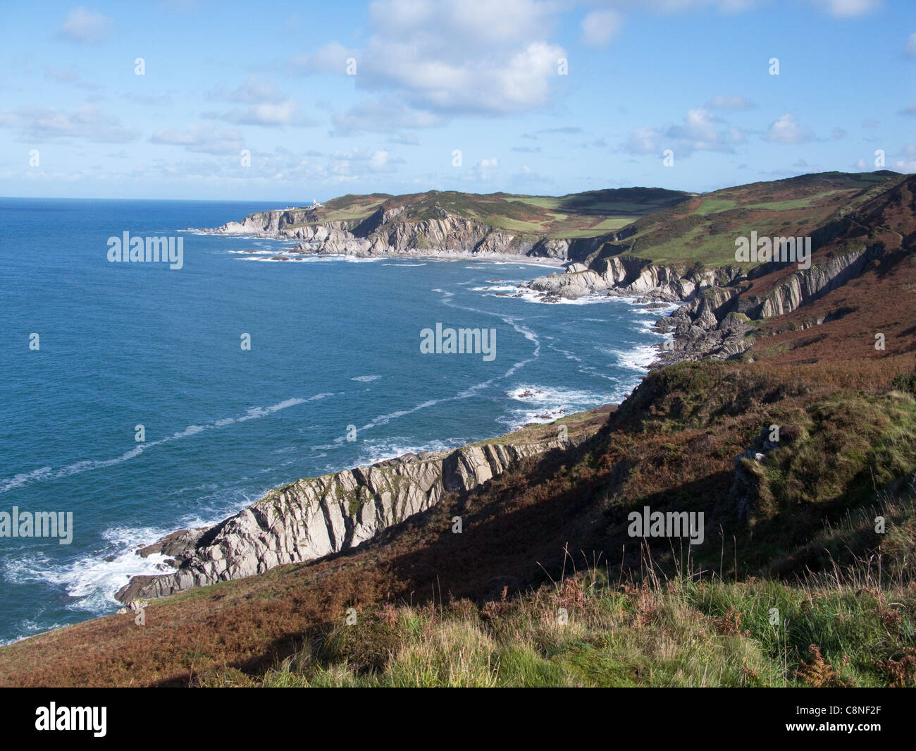 Großbritannien, England, Nord-Devon, Blick Richtung Bull Punkt, in der Nähe von Mortehoe Stockfoto