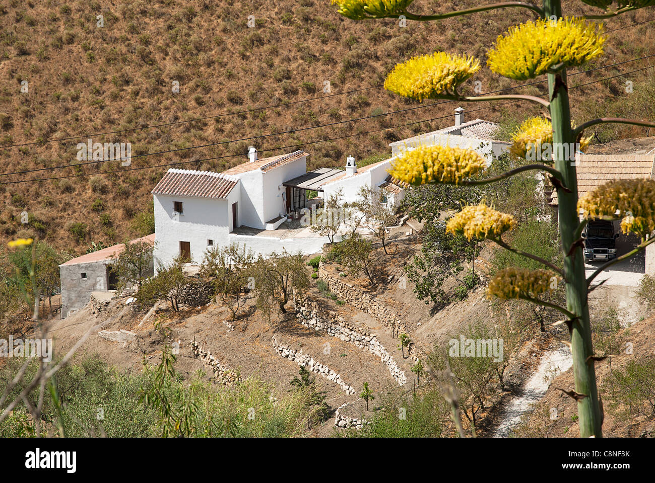 Spanien, Andalusien, Costa Tropical, Axarquia, Bauernhaus (Cortijo) auf terrassierten Hügel Stockfoto