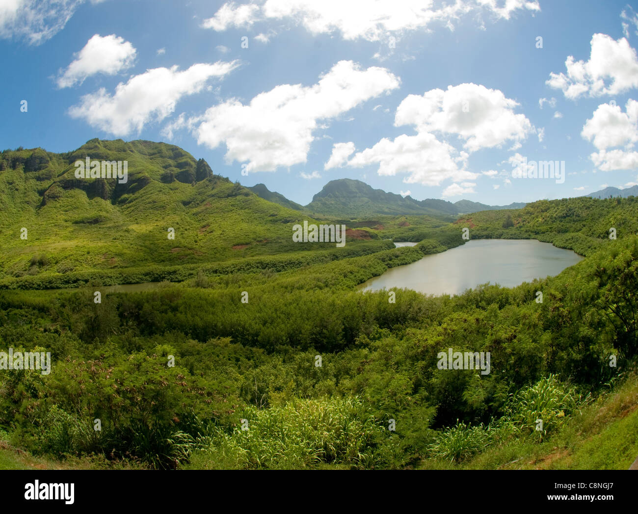 Weiten Blick über die Menehune Fischteich, Kauai Stockfoto