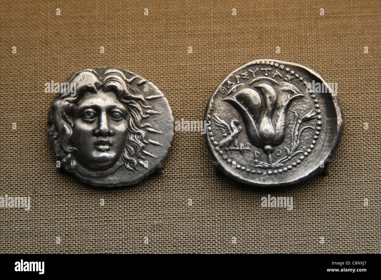 Antike griechische Münzen aus der numismatischen Sammlung des Pergamonmuseums in Berlin, Deutschland. Stockfoto