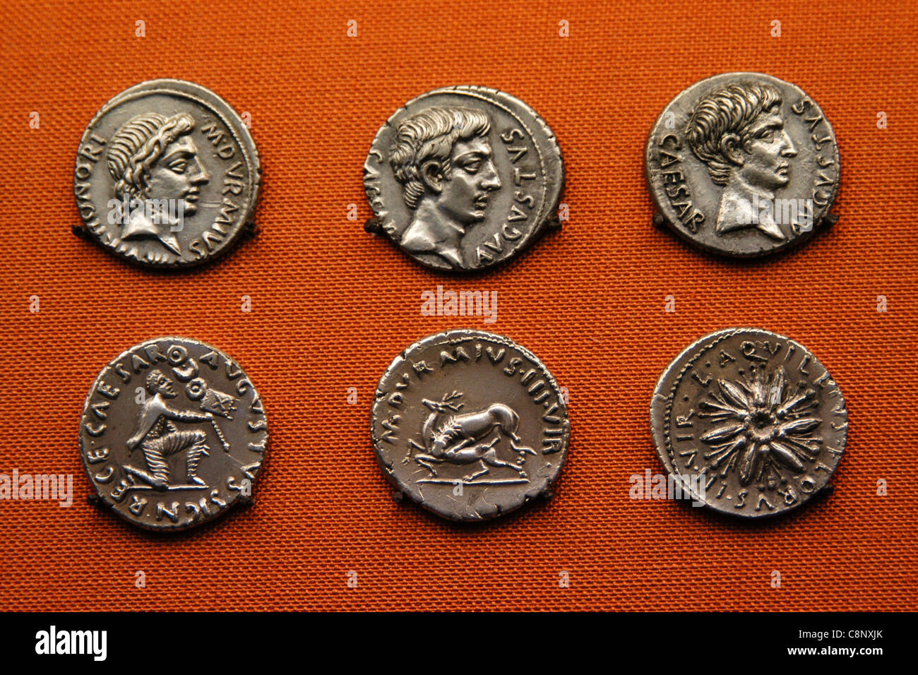 Antike römische Münzen des Kaisers Augustus auf dem Display in das Münzkabinett im Pergamon Museum in Berlin, Deutschland. Stockfoto