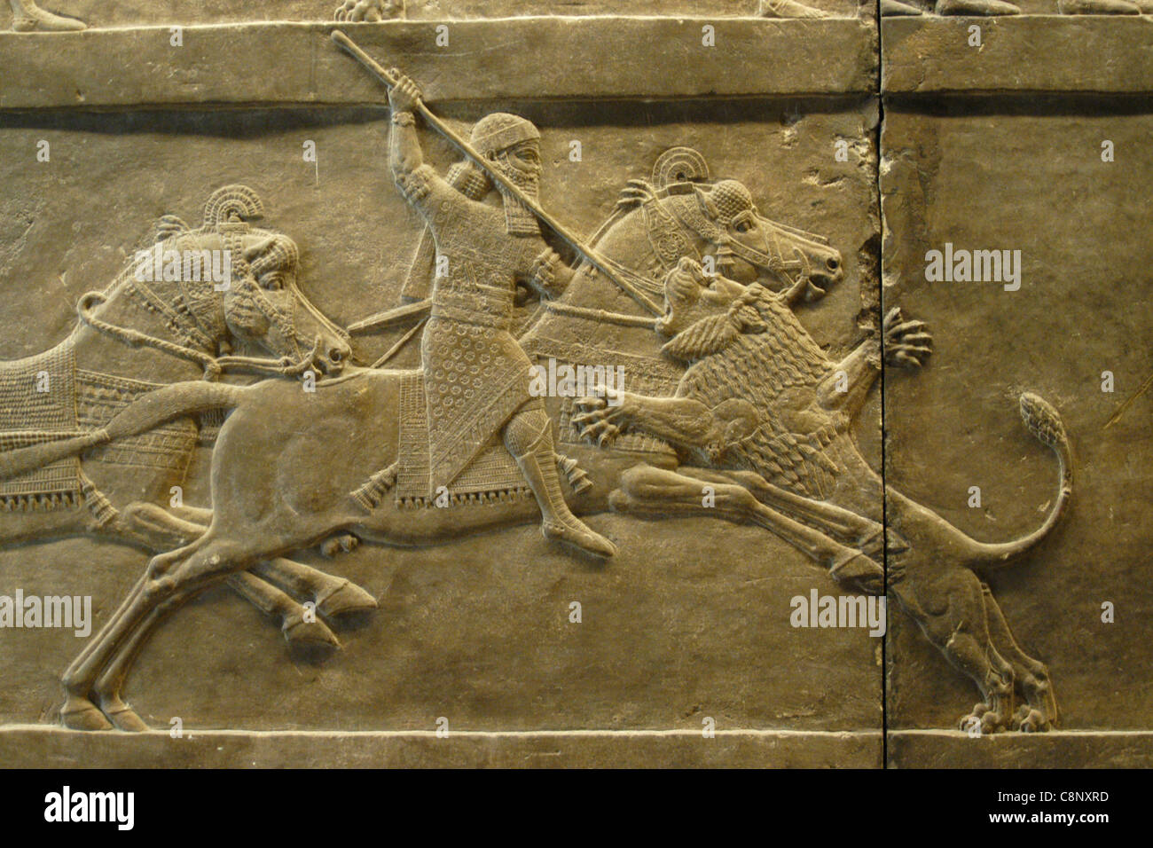 Assyrische Reliefs des königlichen Löwen jagen des Königs Ashurbanipal gesehen im British Museum in London, England, UK. Stockfoto
