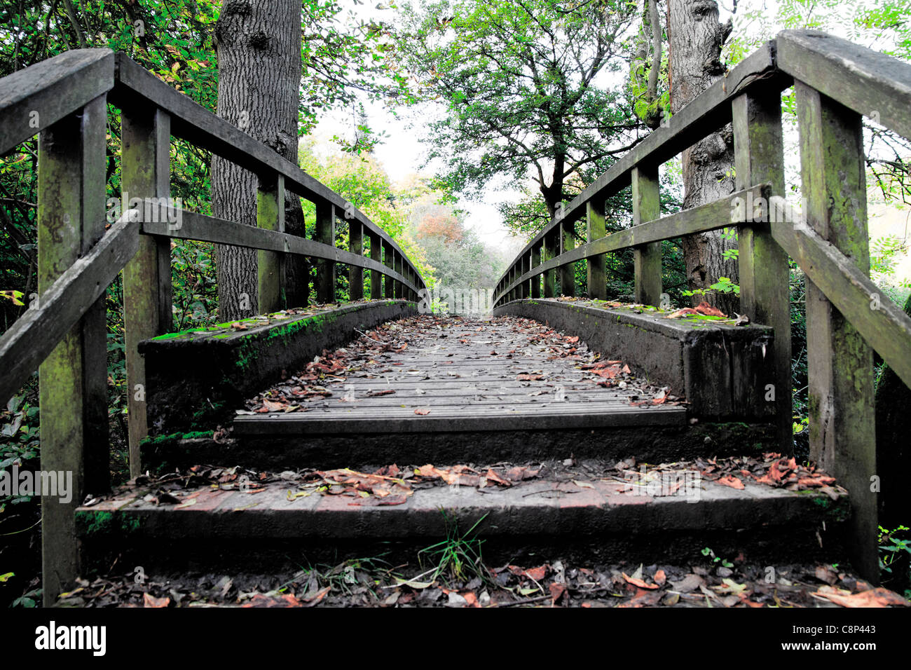 Ein Blick von einer Brücke Stockfoto