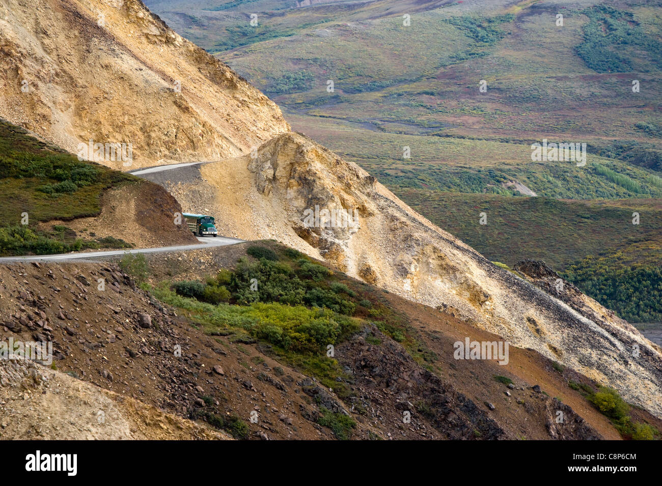 Harte Tour im Denali National Park Alaska USA Stockfoto