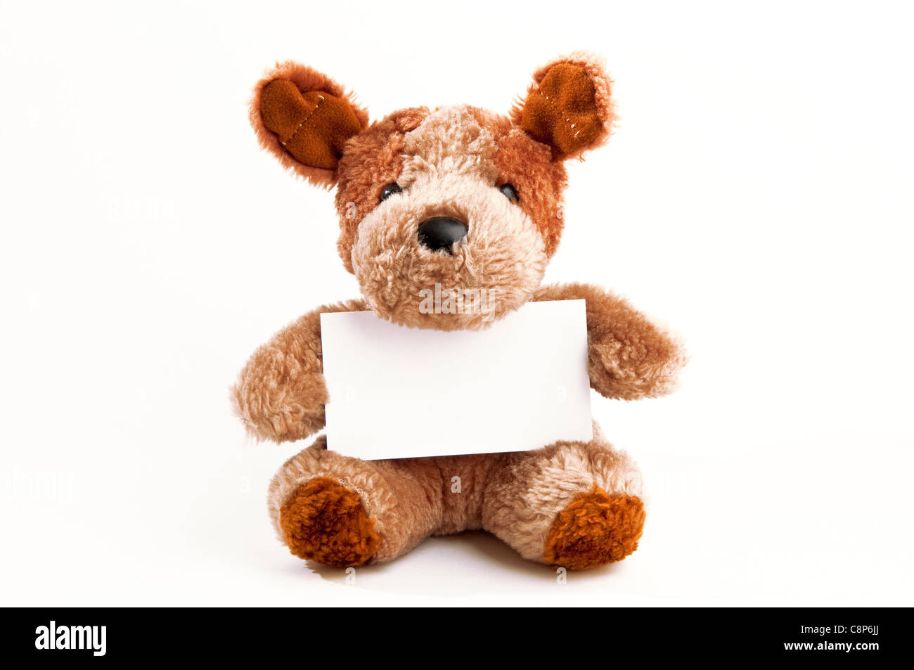 Netter kleiner Teddy Bär hält eine Visitenkarte über einen weißen Hintergrund Stockfoto