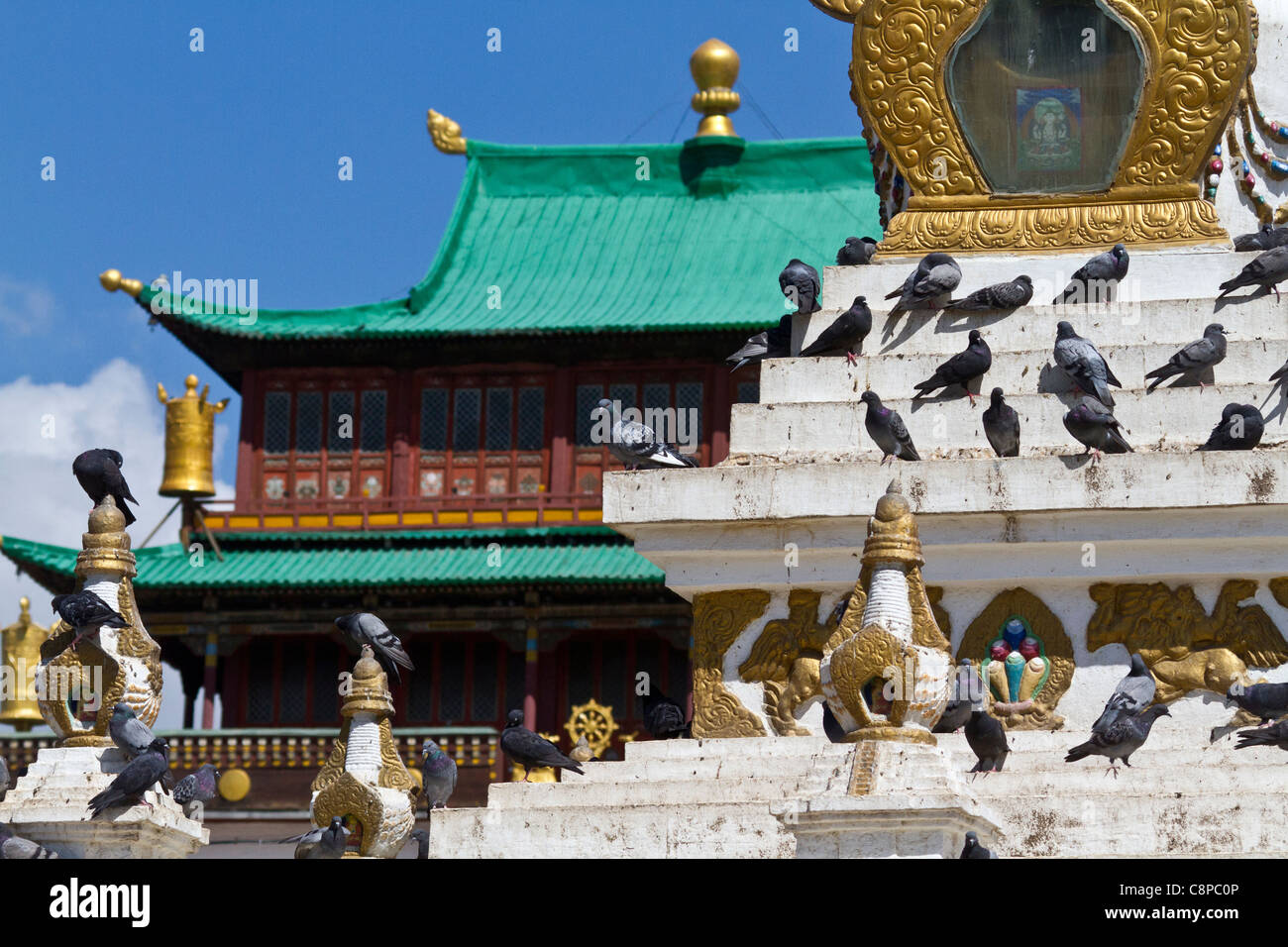 Tauben, ruht auf einem Brunnen im Gandantegchinlen Kloster in Ulan Bator Stockfoto