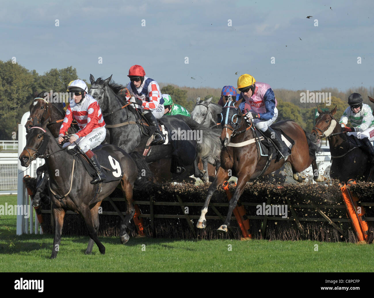 Big Time Billy führt die Packung eines Fluges geritten von Jamie Moore in lesen Post Novizen Handicap Hurdle in Ascot Racecourse in Ascot, Berkshire-29/10/11 - CREDIT: Martin Dalton/TGSPHOTO Stockfoto