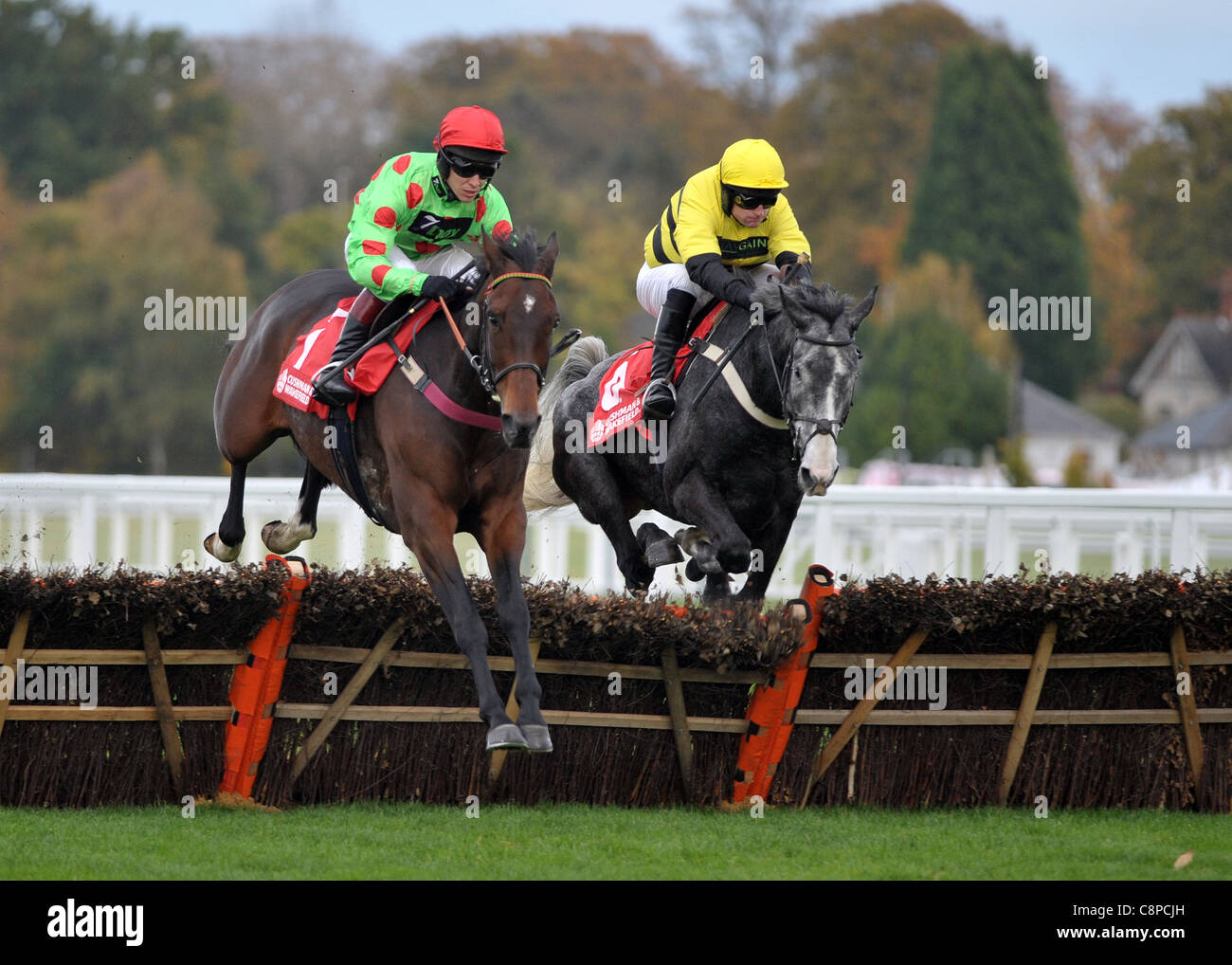 Court In Session geritten von Richard Johnson gewinnt The Cushman & Wakefield Novizen Hürde Ascot Racecourse, Ascot, Berkshire springen die Hürde mit Quix geritten von Andrew Glassonbury-29/10/11 Stockfoto