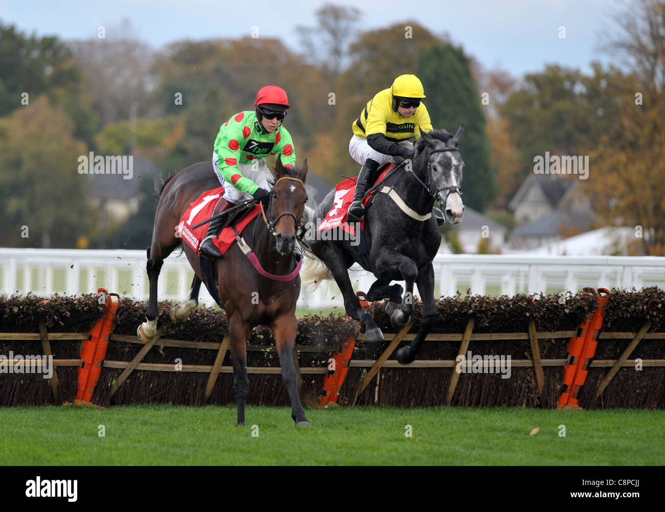 Court In Session geritten von Richard Johnson gewinnt The Cushman & Wakefield Novizen Hürde Ascot Racecourse, Ascot, Berkshire springen die Hürde mit Quix geritten von Andrew Glassonbury- Stockfoto