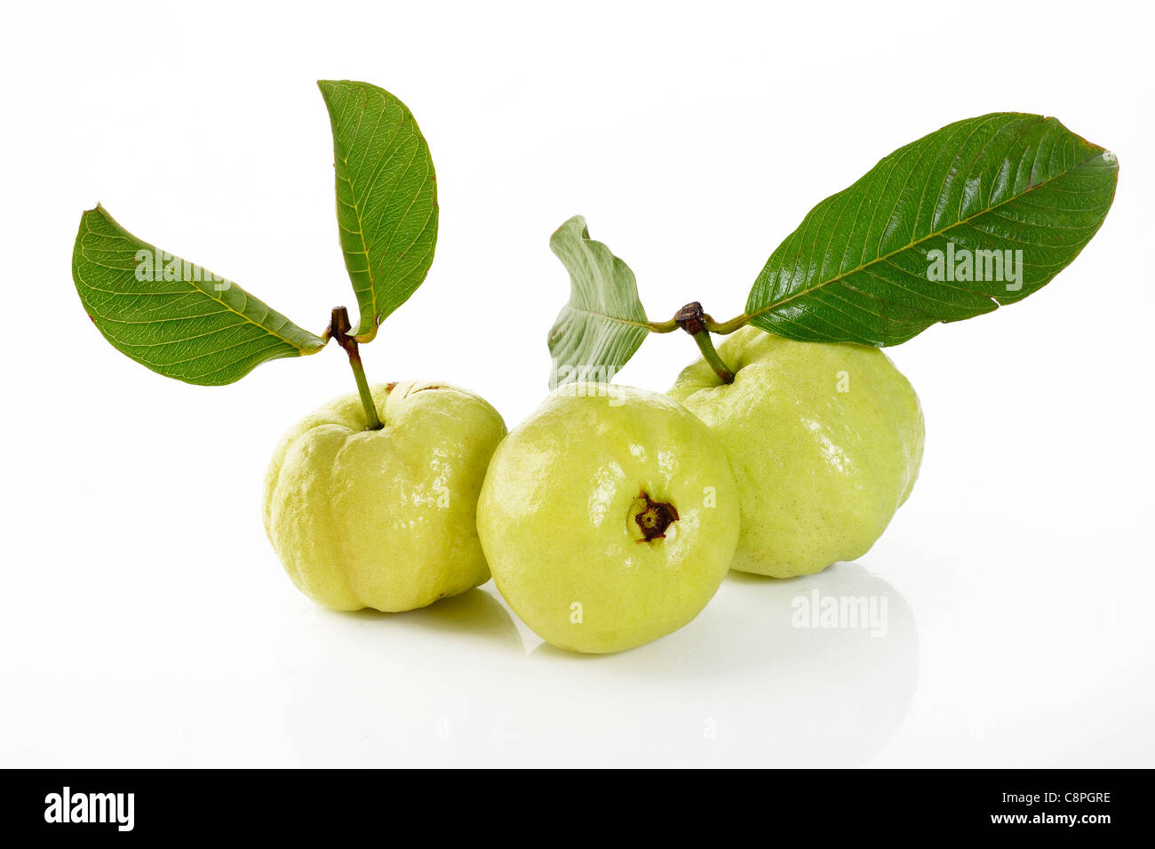 Guave mit Blatt auf weiß Stockfoto