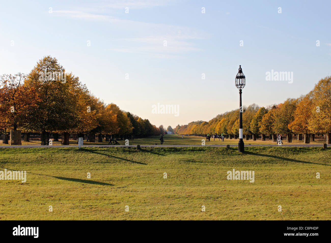 Bushy Park ist einer der königlichen Parks in London in der Nähe von Hampton Court in Süd-West London England UK Stockfoto