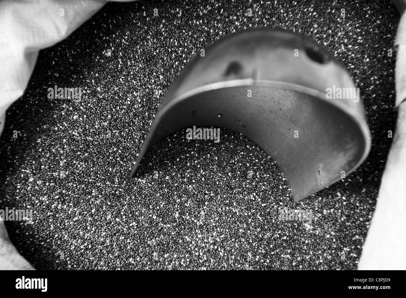 Schwarze und weiße Samen Mohn in ihrer Tasche. Stockfoto