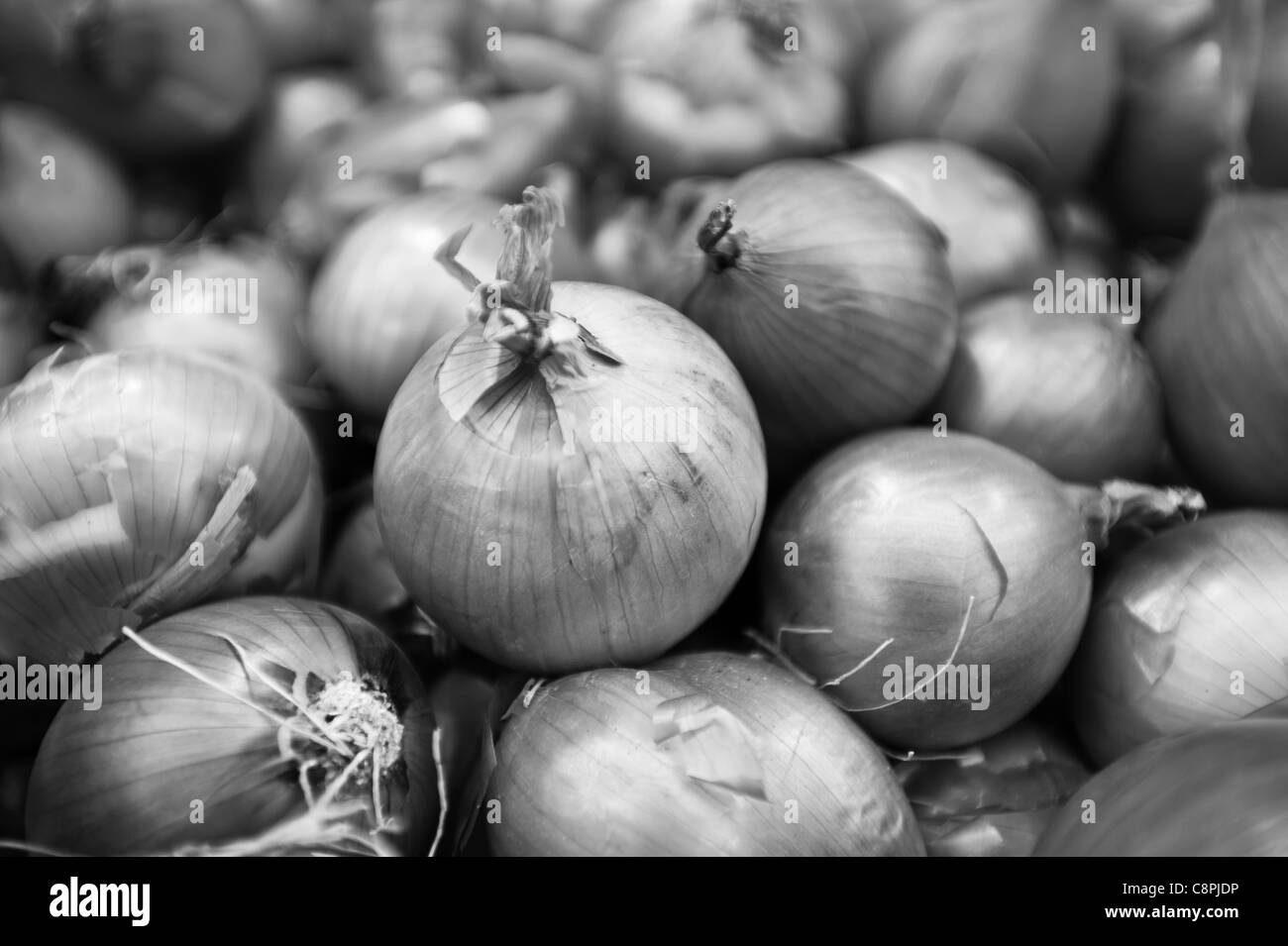 Schwarz / weiß-Zwiebeln in einem Imbiss-Stand. Stockfoto