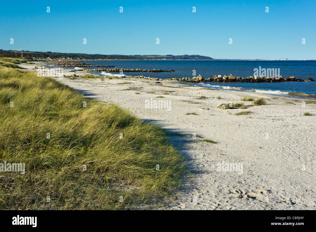 Der Strand nördlich von Sæby Hafen in Sæby Jütland Dänemark mit Steinen gelegt wie Maulwürfe oder Bollwerke um weitere Erosion zu verhindern. Stockfoto