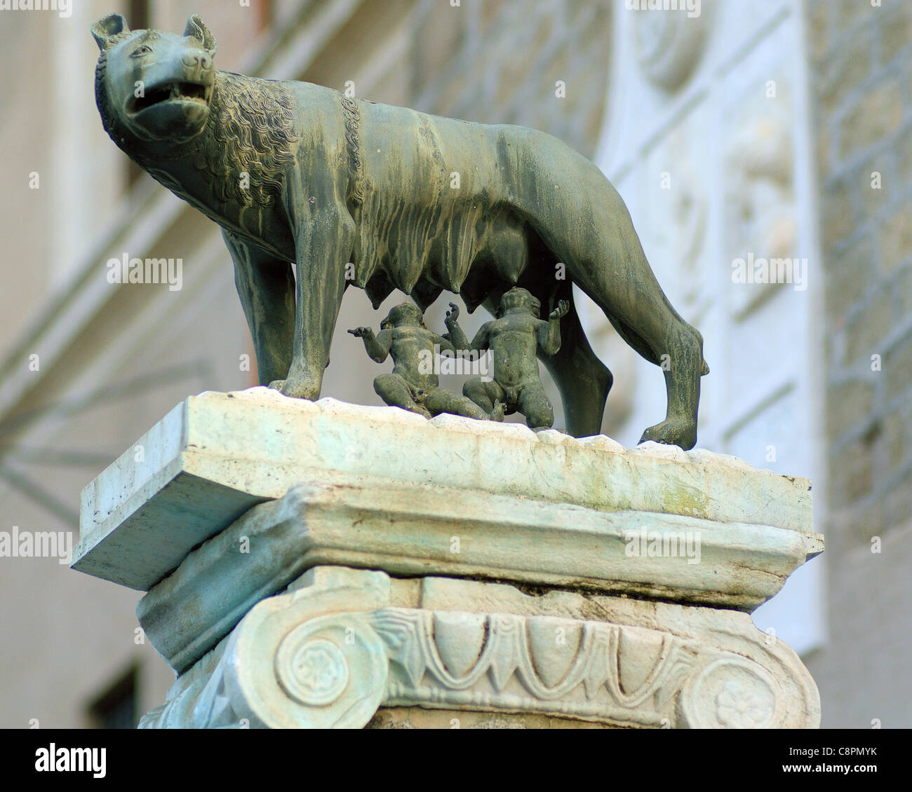 Statue von Capitoline Wolf sie Romulus und Remus Rom Stockfoto